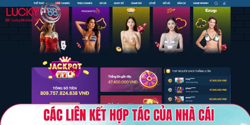 Các liên kết hợp tác của nhà cái